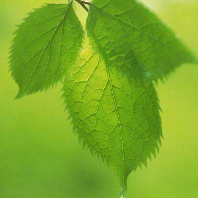 尊龙手机版下载