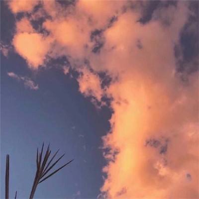 九州官网十年信誉玩家首选手机app下载